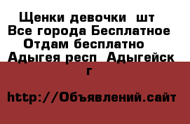 Щенки девочки 4шт - Все города Бесплатное » Отдам бесплатно   . Адыгея респ.,Адыгейск г.